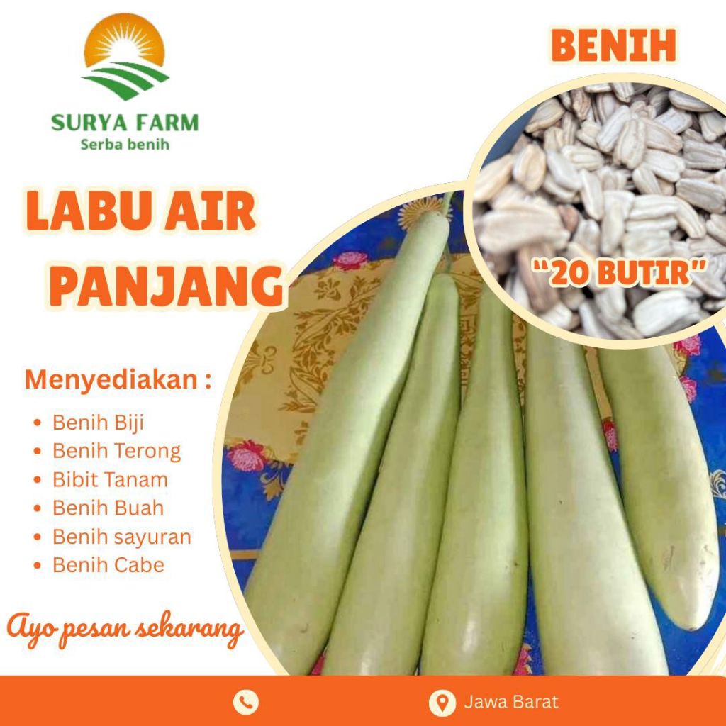 Benih Biji Labu Labu Air Panjang Kemasan  /Bibit Labu Air