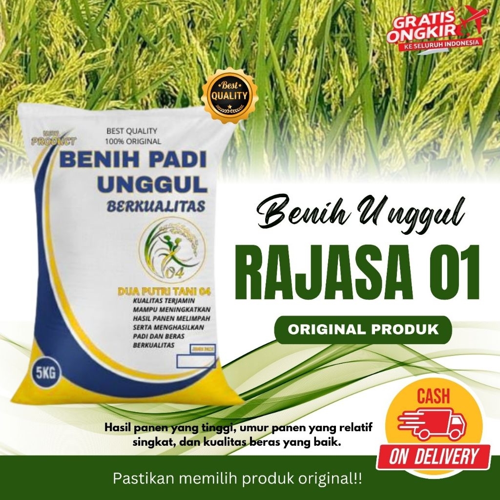 Benih Padi Unggul RAJASA Kemasan 5kg