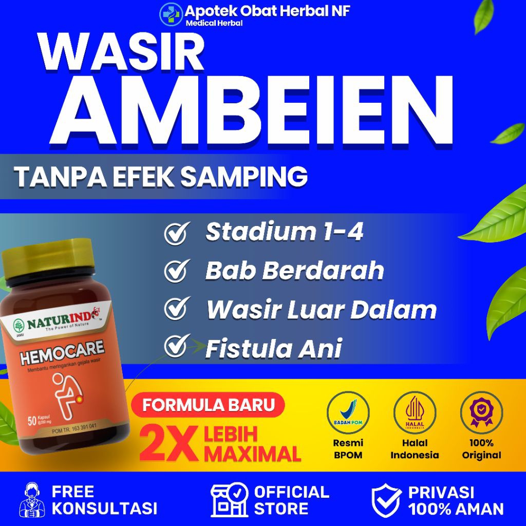 Obat Wasir Ambeien Stadium 1 Sampai 4 Benjolan di Anus Ambeyen BAB Berdarah Ambeien Paling Ampuh