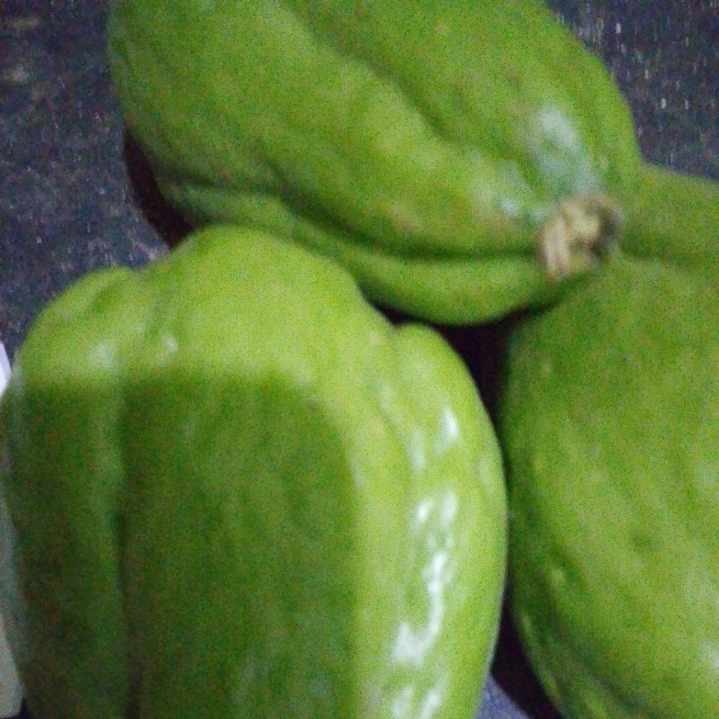 labu Siam 1kg