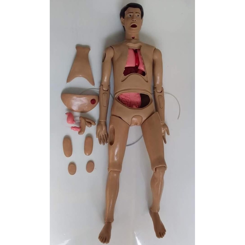 Manikin full body manikin full body Phantom full body