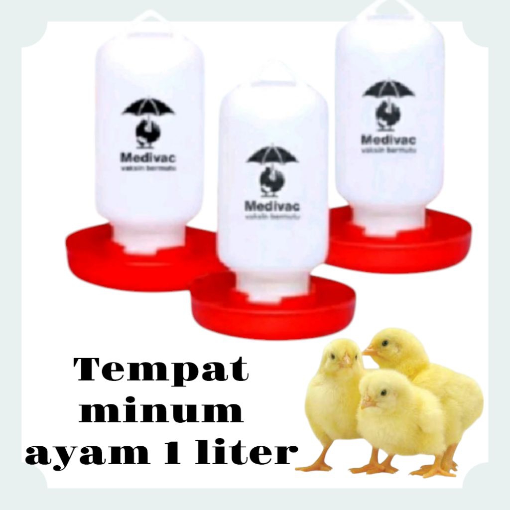 Tempat Minum Ayam - TMA - Botol Minum Ayam - Galon Ayam
