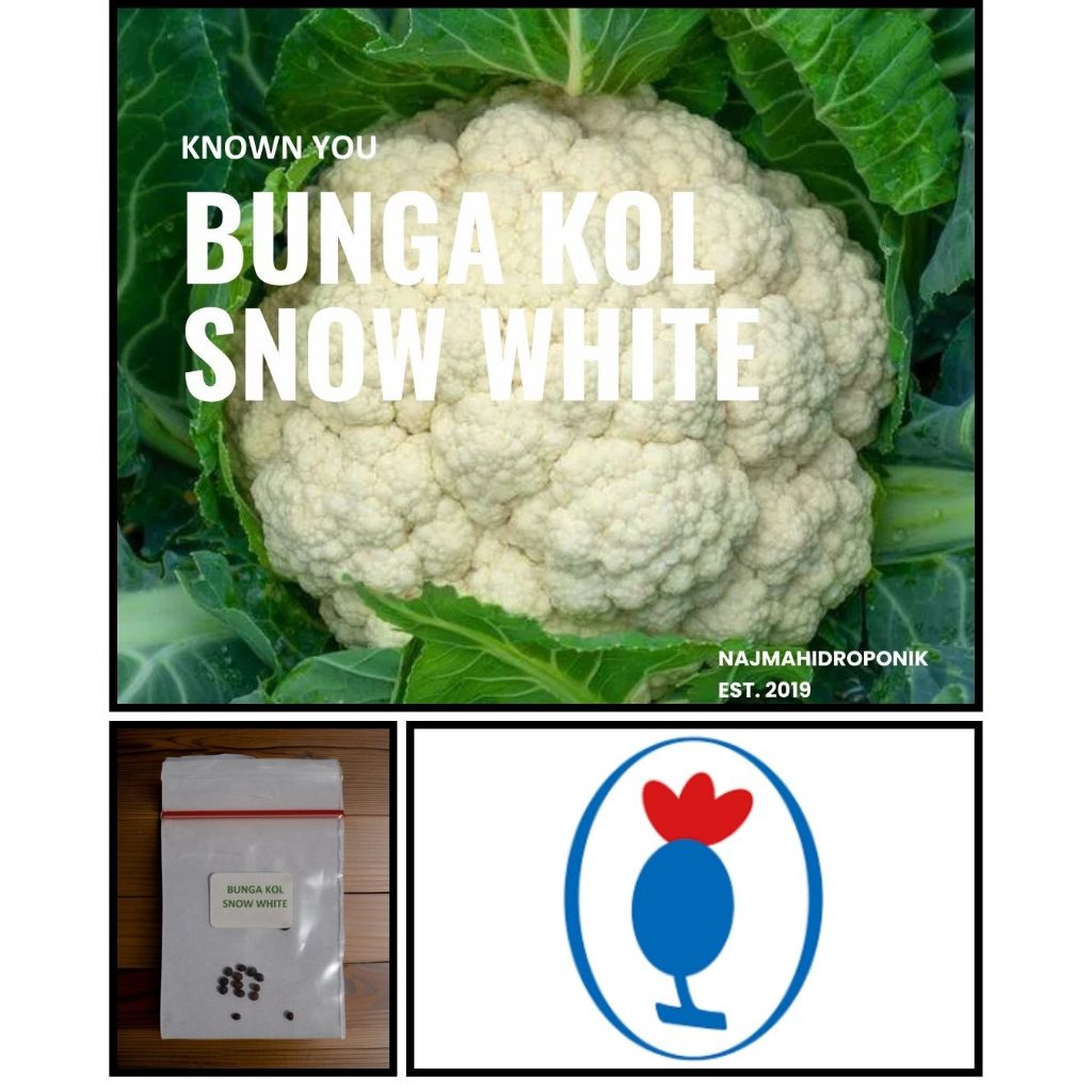 10 Butir Benih Sayuran Bunga Kol Snow White Repacking (Known You)