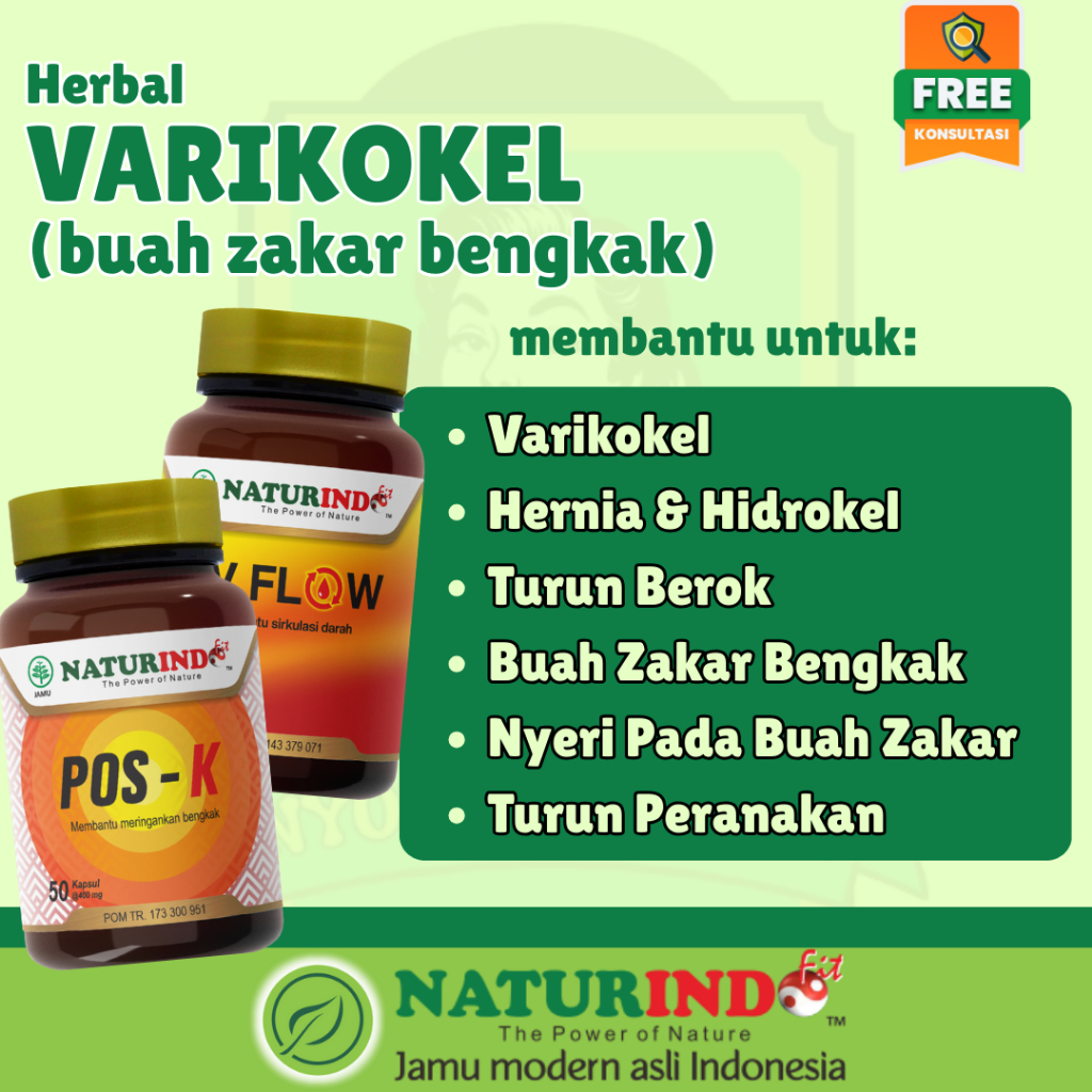 Herbal Varikokel Pembengkakan Buah Zakar Testis Bengkak Varises Hernia Lancarkan Peredaran Darah