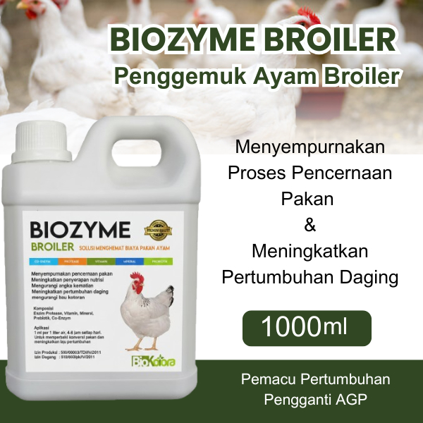 BIOZYME Peningkat Bobot Broiler Pertumbuhan Maksimal Hemat Pakan Meningkatkan Performa Ayam Panen