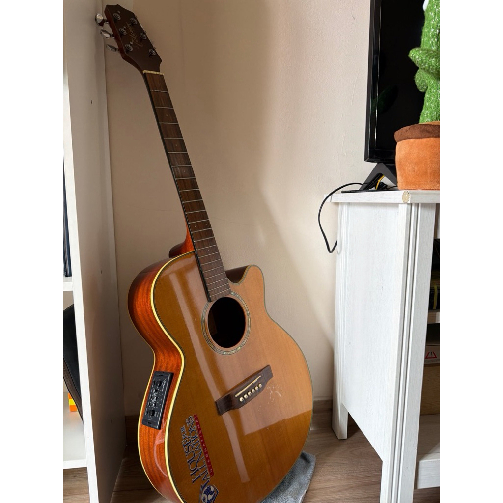 Takamine Gitar EG540SC