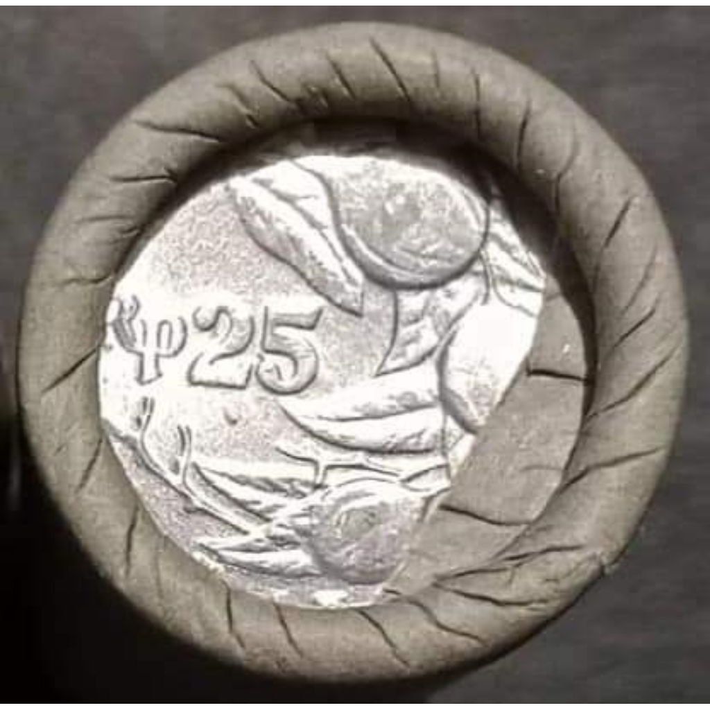 Koleksi Uang Koin Kuno 1 Roll 25 Rupiah Pala Tahun 1993 - Keydate Langka Gress Baru