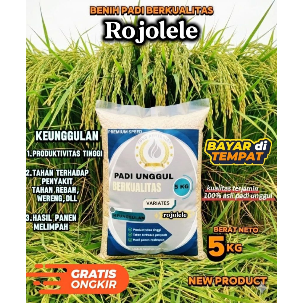 Benih padi ROJOLELE berkualitas kemasan 5kg