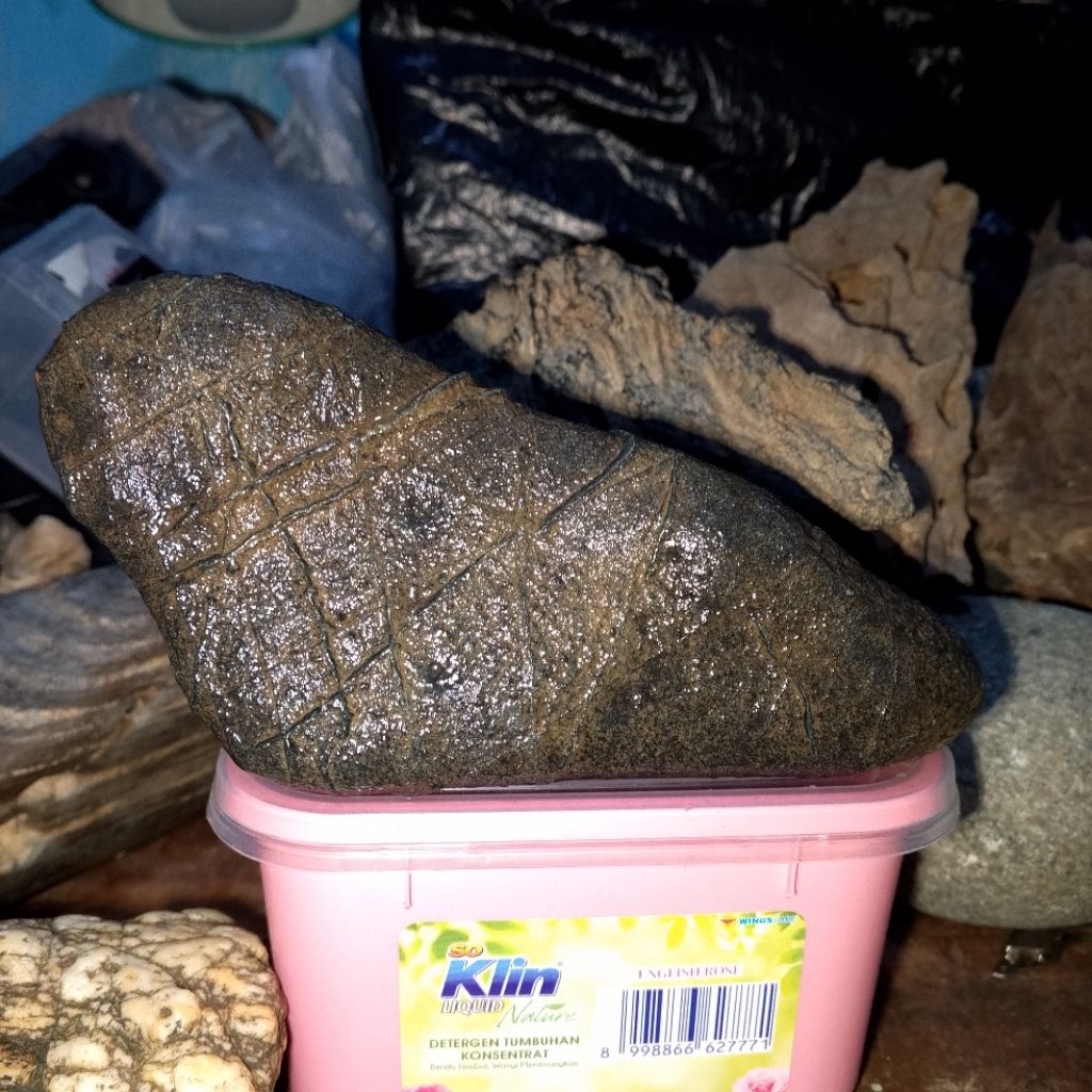 SUISEKI JALA SUTRA TAPAK JALAK HITAM