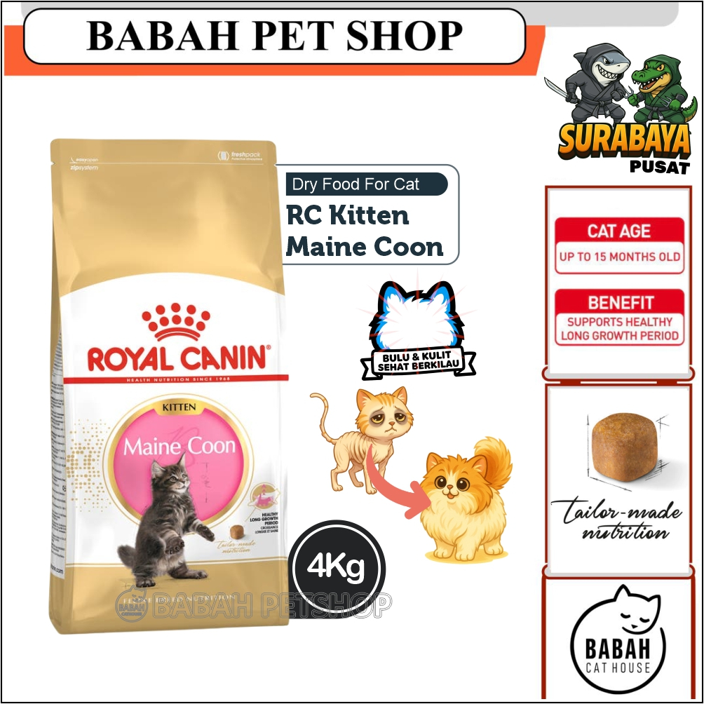 4kg ROYAL CANIN KITTEN MAINECOON cat food makanan anak kucing rc main coon untuk bayi anakan ras bes