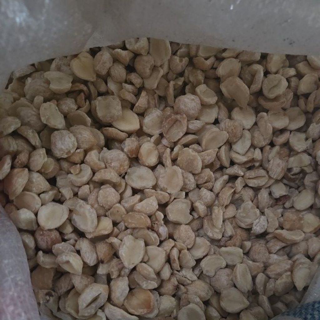 kemiri kemiri pecah & kemiri bulat