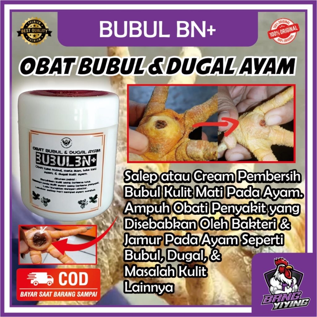 Salep Bubul Ayam BUBULBN+ Mengobati kaki ayam bubul ayam dugal