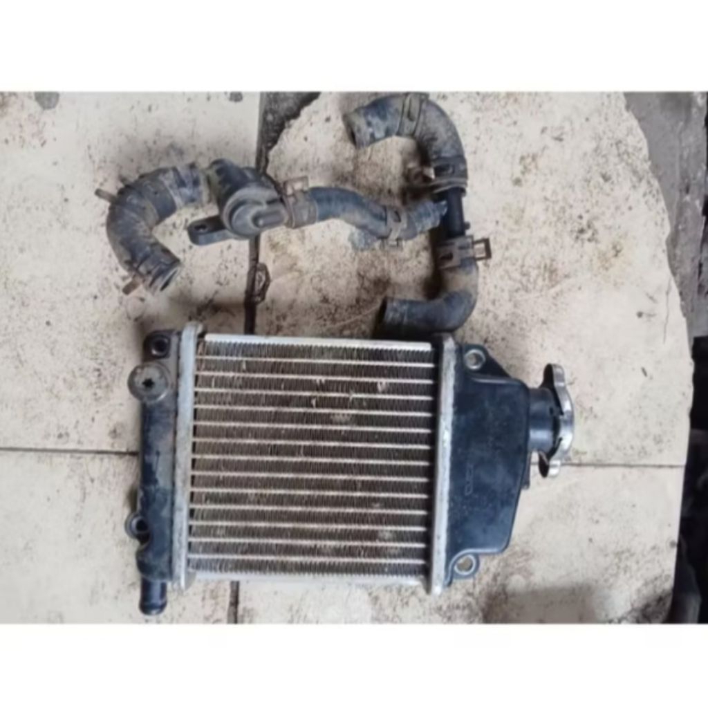 RADIATOR SET TERMOSTAT VARIO 110 KARBU/VARIO TECNO 110 KARBU/COPOTAN ORIGINAL