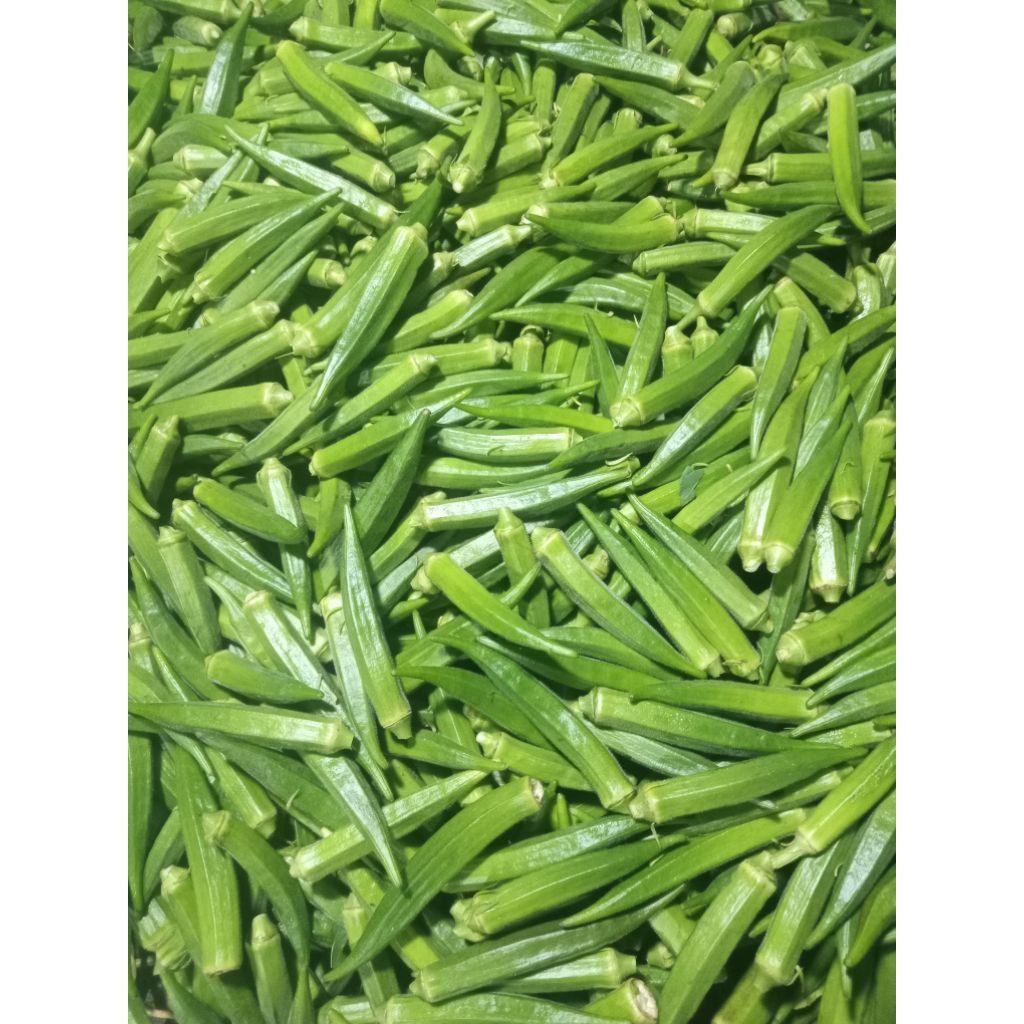 Sayur Okra Hijau Segar Murah 1 Kg [KHUSUS PULAU JAWA]