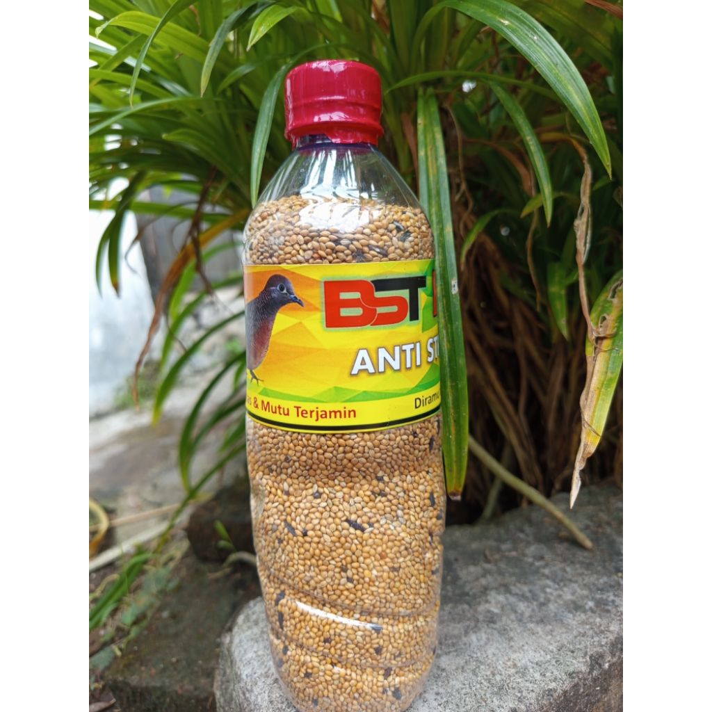 Pakan kutut perkutut BST milet kuning