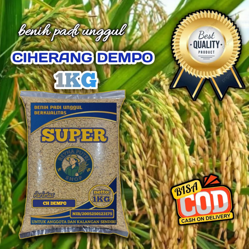benih padi ciherang dempo unggul berkualitas 1kg