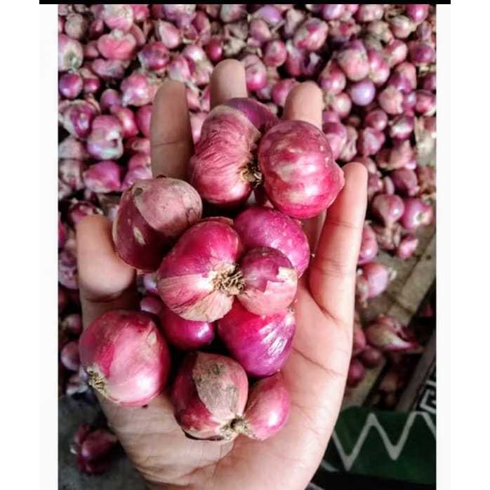 BAWANG MERAH BESAR  KERING 1KG//BAWANG  PROBOLINGGO/BAWANG MERAH BESAR MURAH KERING