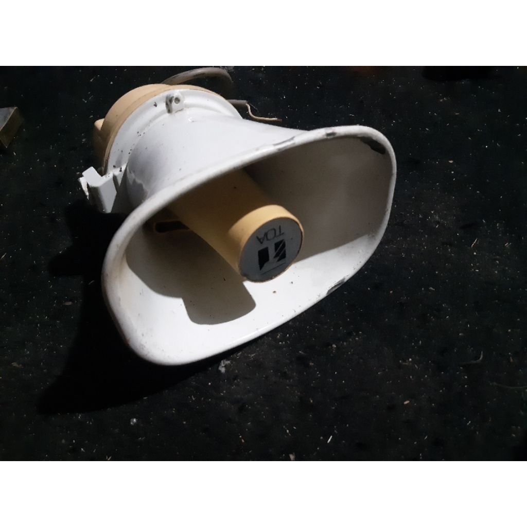 toa kecil bekar normal