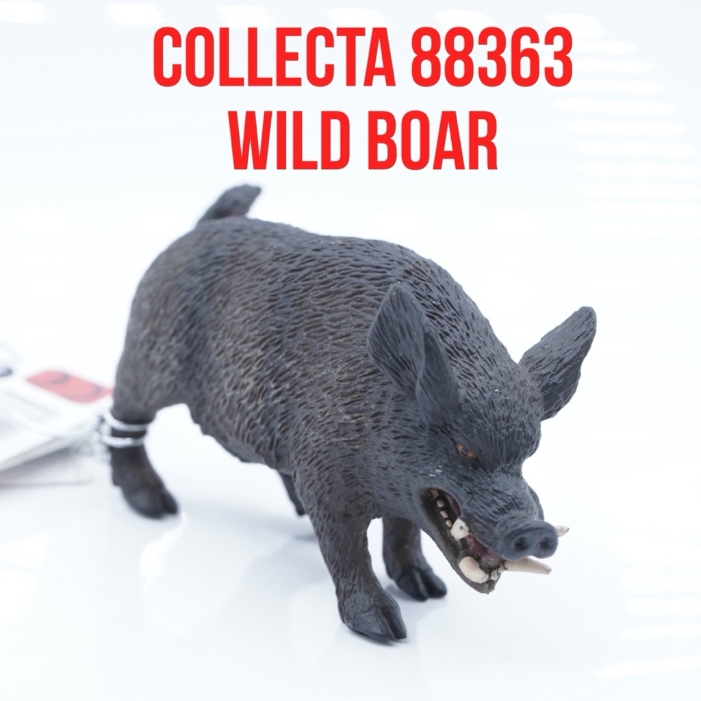 Collecta 88363 Wild Boar Babirusa Babi Hutan Celeng Sus Scrofa  Babi Liar | Mainan Figure Binatang M
