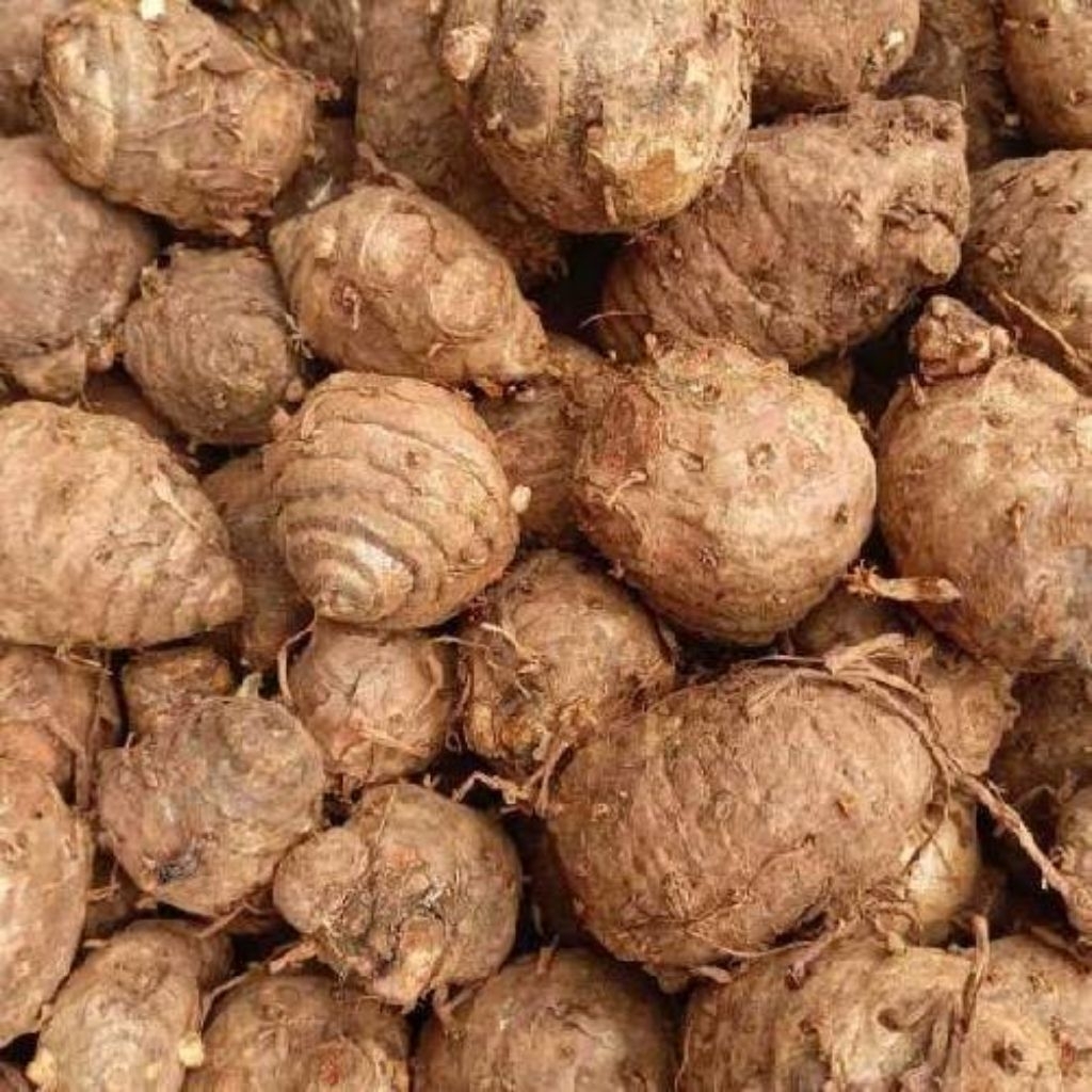 Biang Kunyit || Empu Kunyit || Biang Kunyit Fres 1 kg