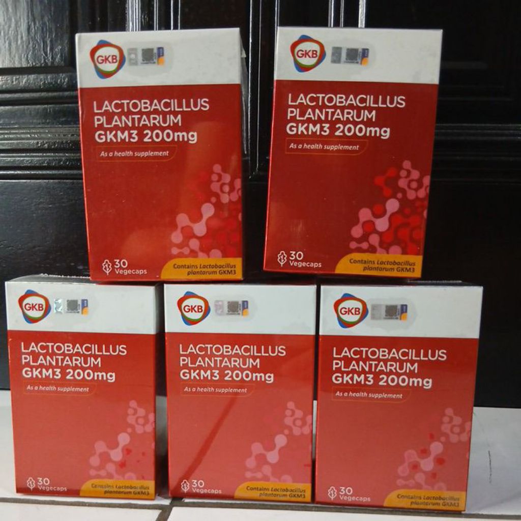Lactobacillus Plantarum Original HALAL