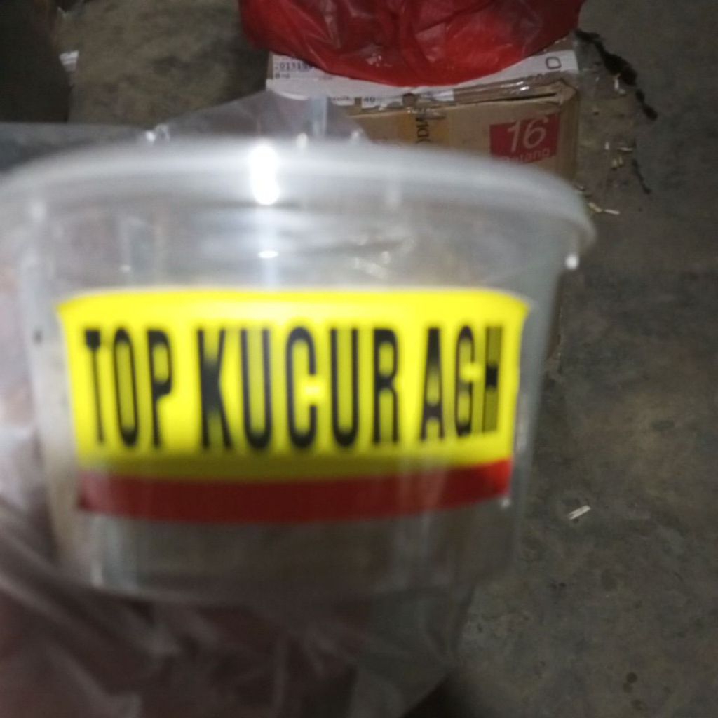KUCUR AGH
