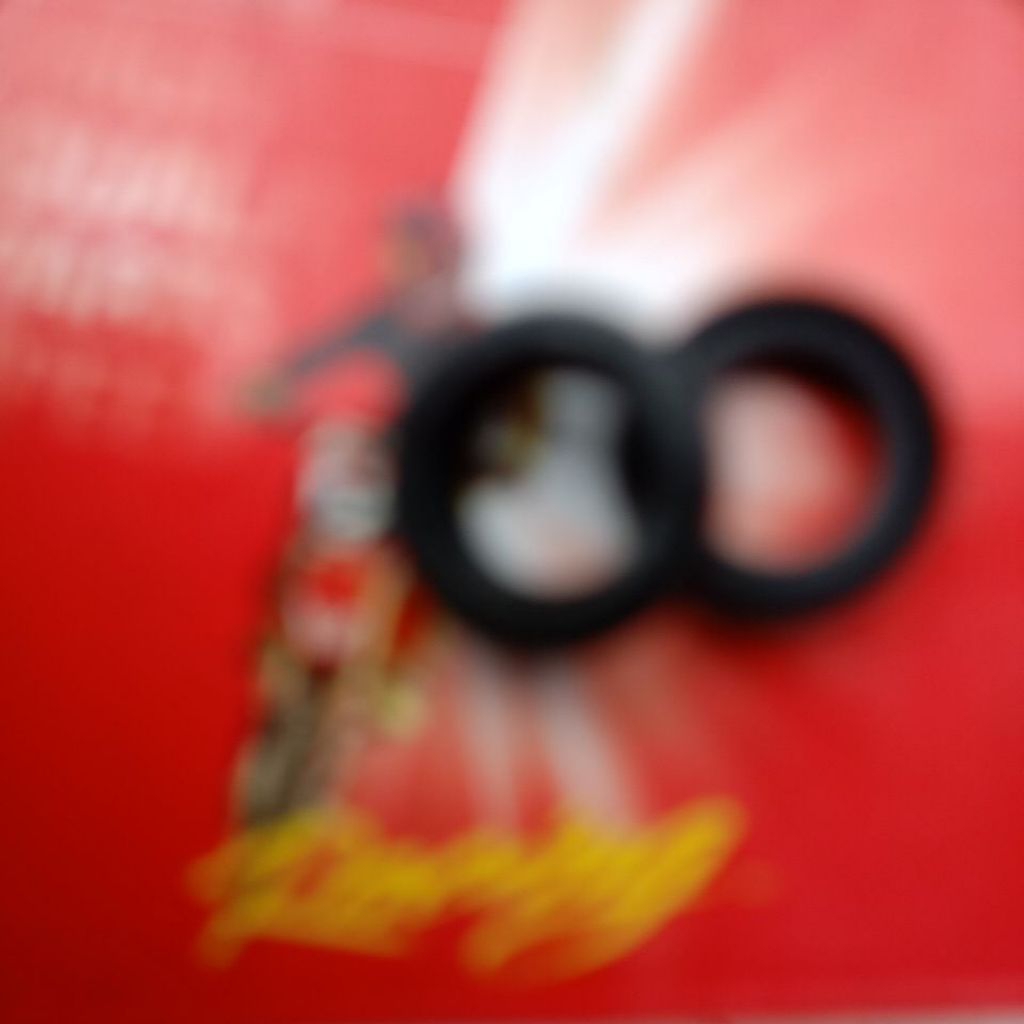 seal as gerbox Viar new