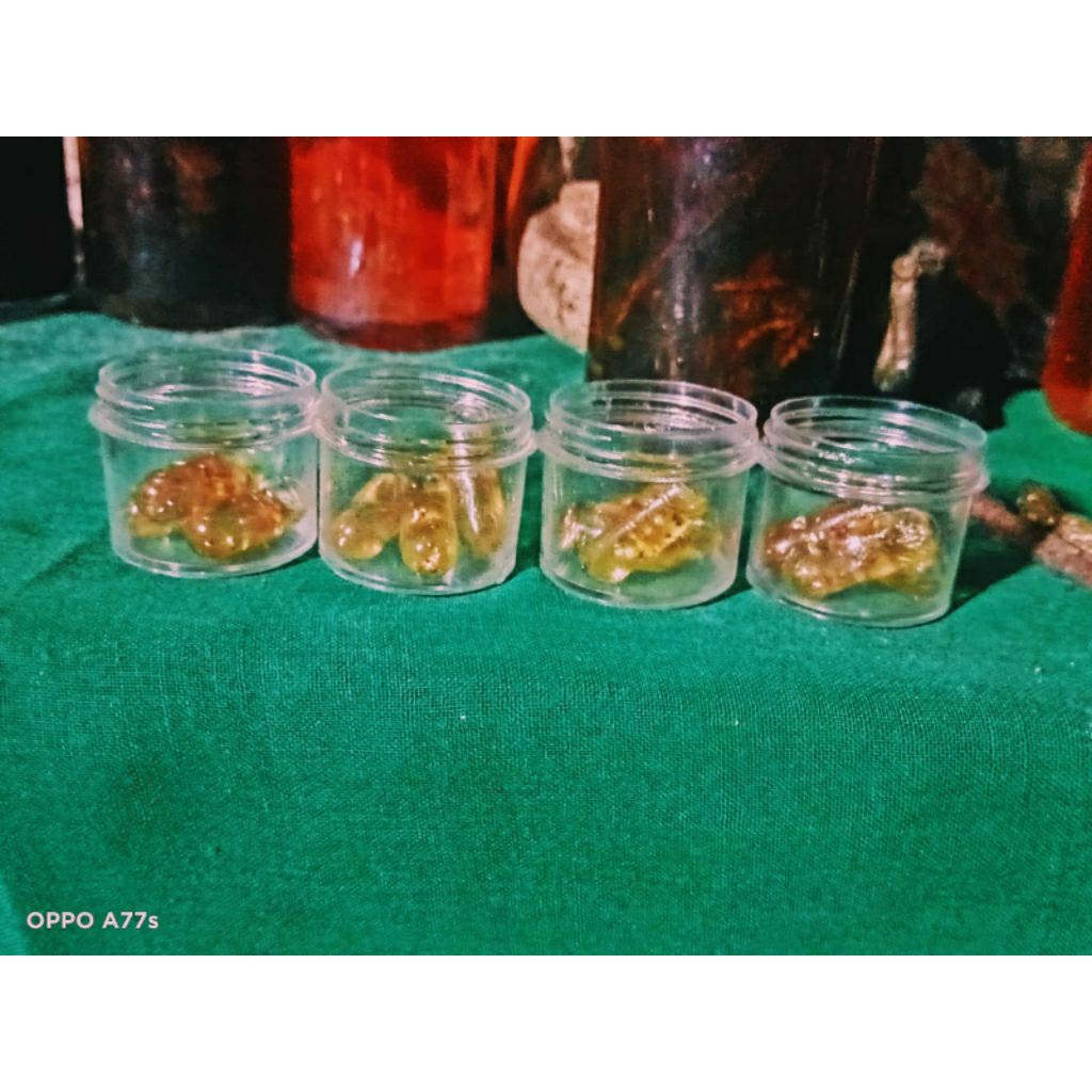 s_u_s_u_kk telan (untalan) 1000 kar_omah