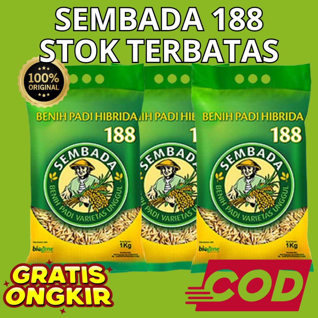 Benih Padi Sembada 188 Original Garansi uang kembali
