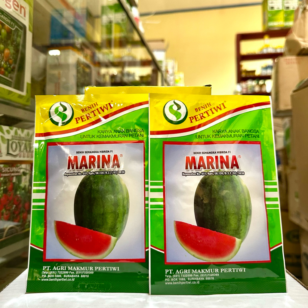 Benih Semangka MARINA F1 20 Gram - Bibit Semangka Non Biji Marina dari Benih Pertiwi