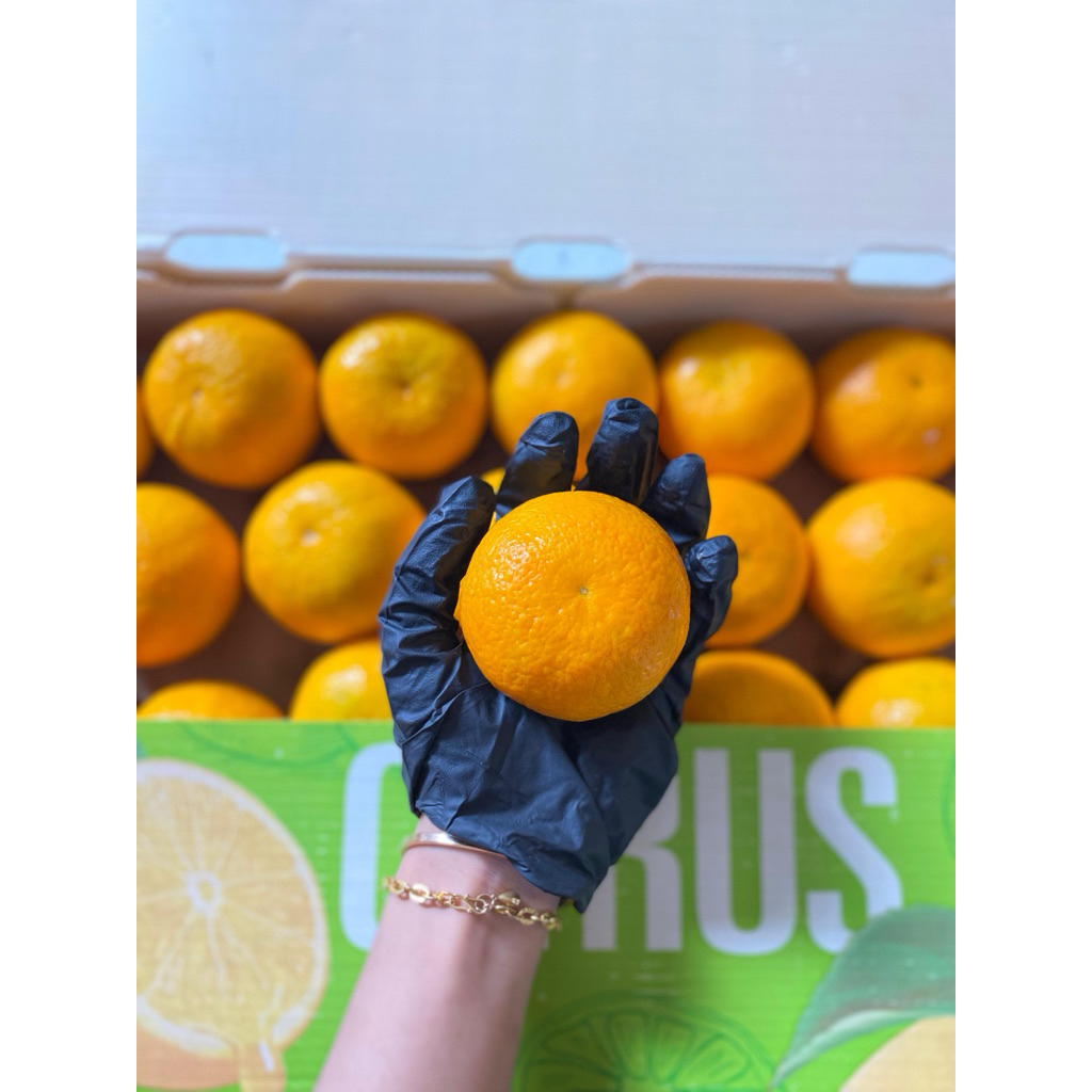 Jeruk Wokam Jeruk mandarin 1kg