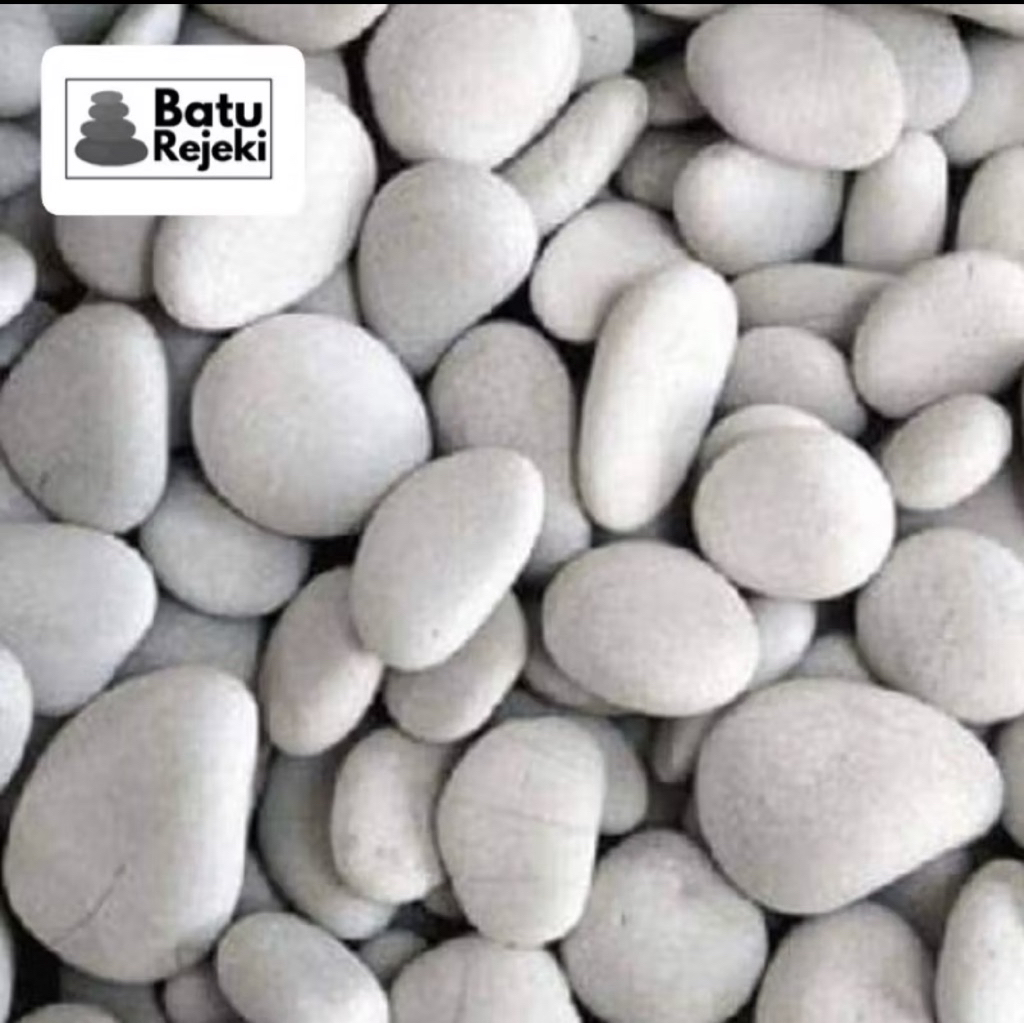 Batu untuk hiasan Taman Koral Putih Kupang ukuran 1-2 cm untuk dekorasi taman ,hiasan pot,aquarium