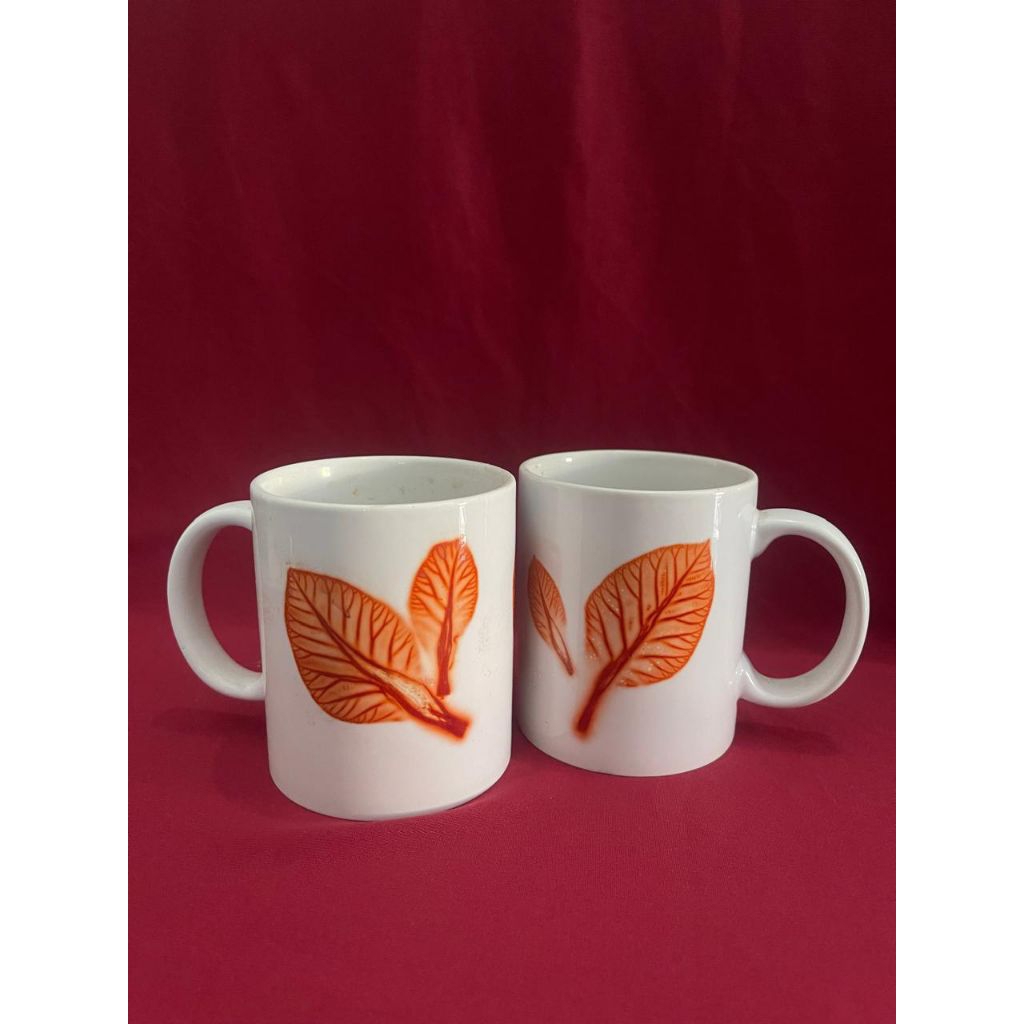 Mug Ecoprint