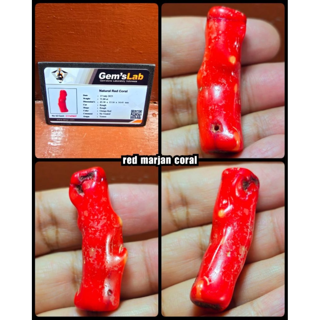 original bongkahan / rough batu Marjan merah super