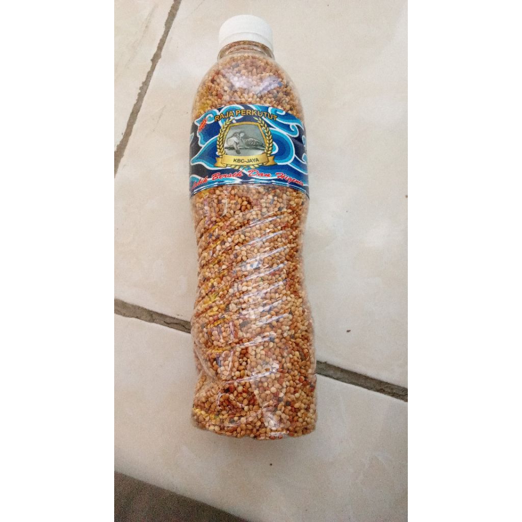 juara pakan ternak (milet/jewawut)