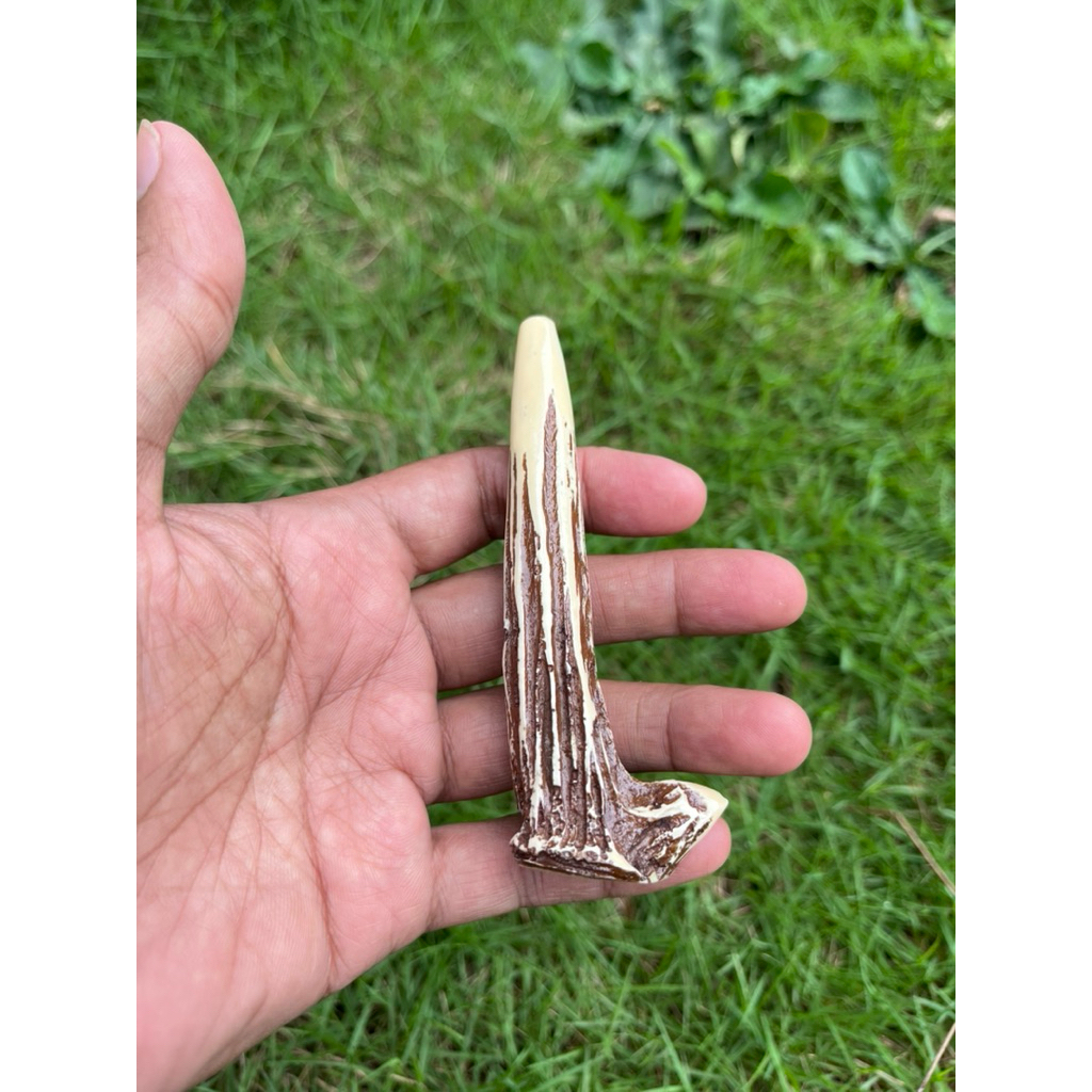 piparokok tanduk rusa minimalis 8cm