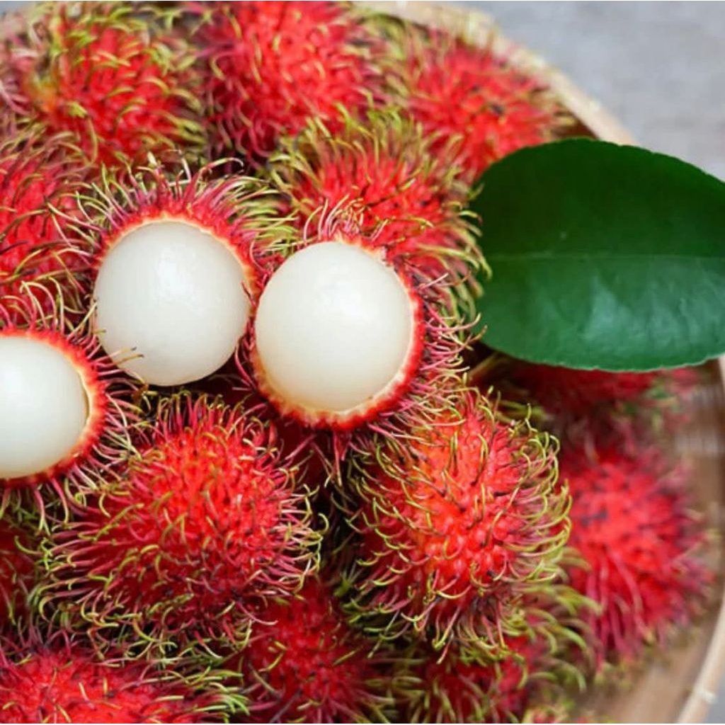RAMBUTAN 1KG ACE, RAMBUTAN BINJAI