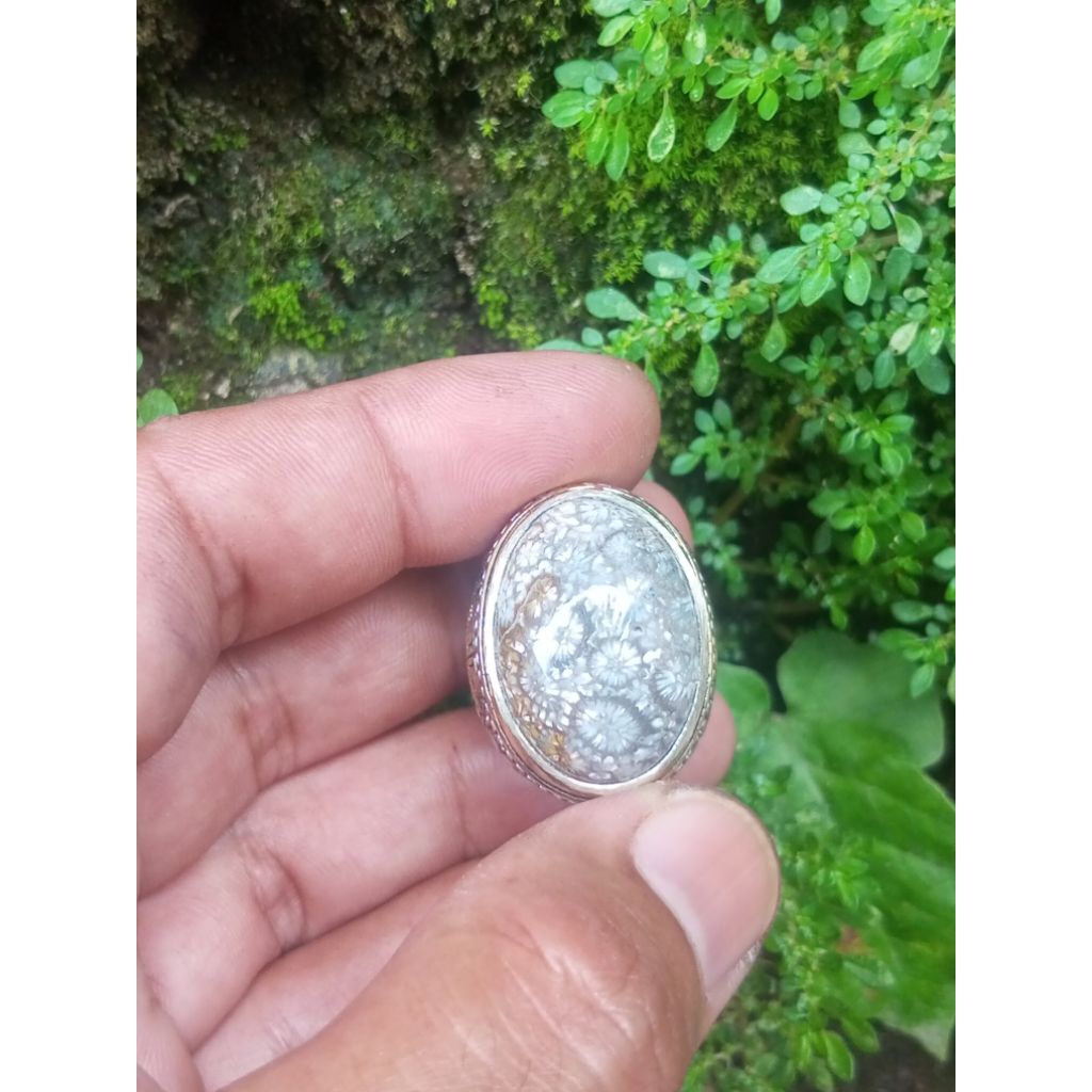 Batu akik teratai hitam