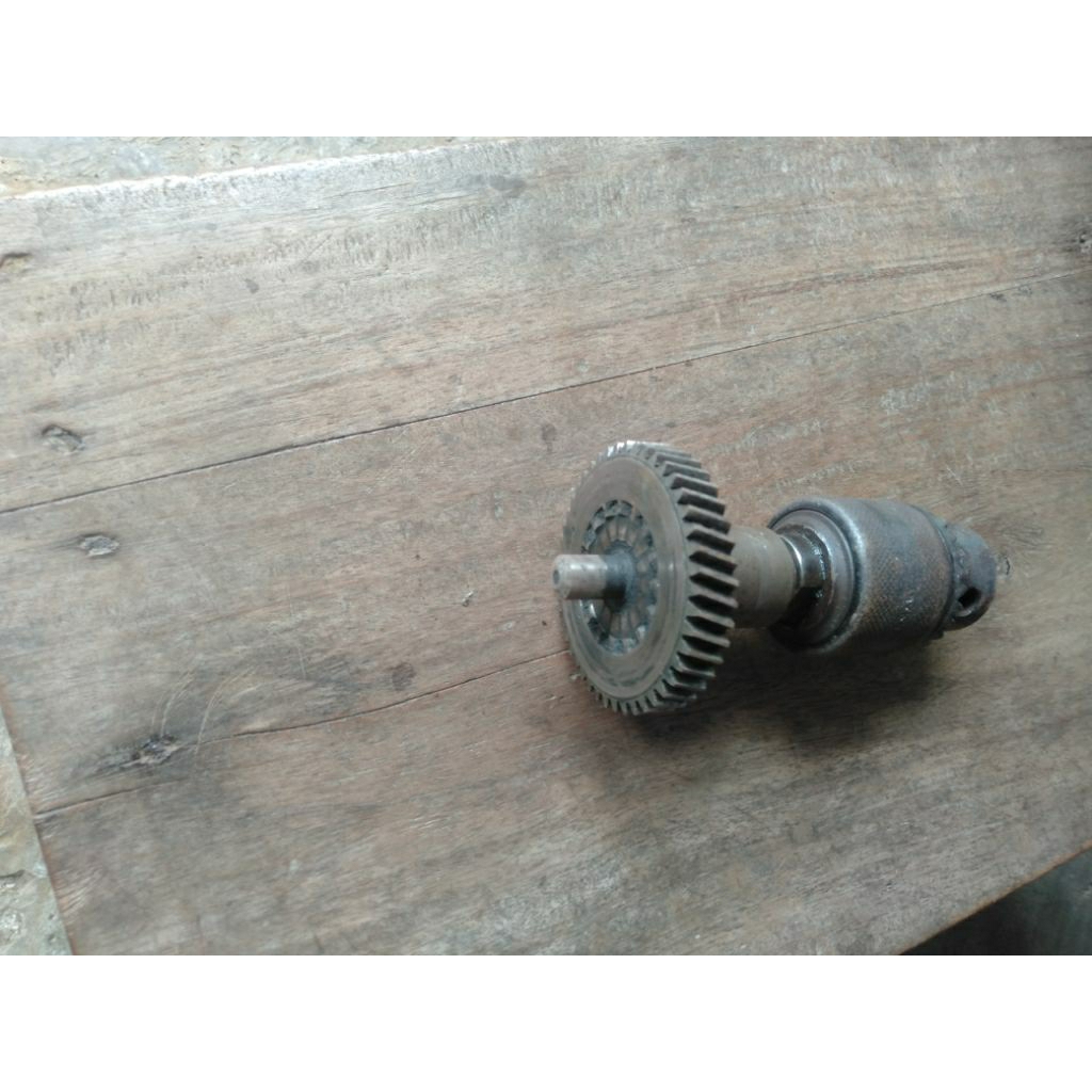 gigi kepala bor bosc