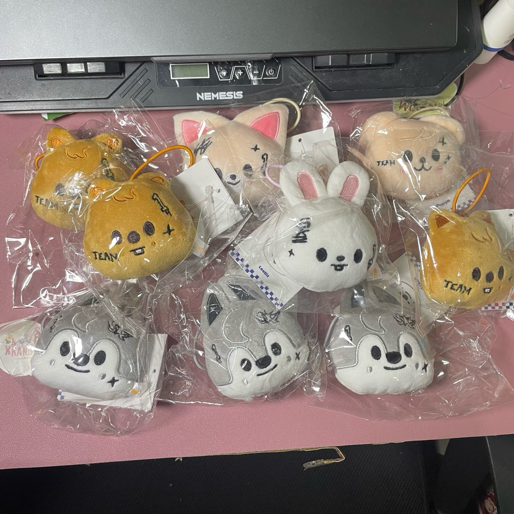 SKZOO KARMA NAMETAG NAME TAG PLUSH STRAY KIDS LEEBIT HANQUOKKA WOLFCHAN FOXINY PUPPYM