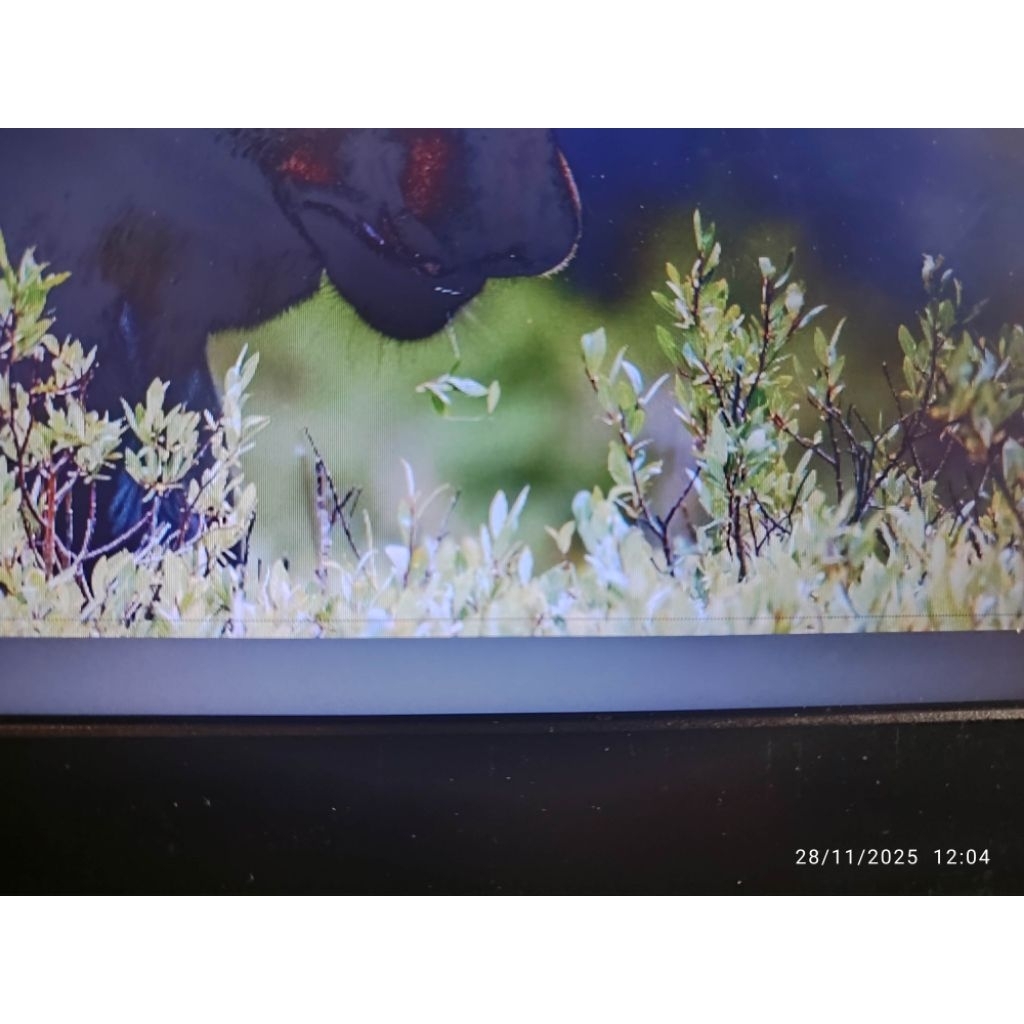 Laptop Lenovo thinkpad T420