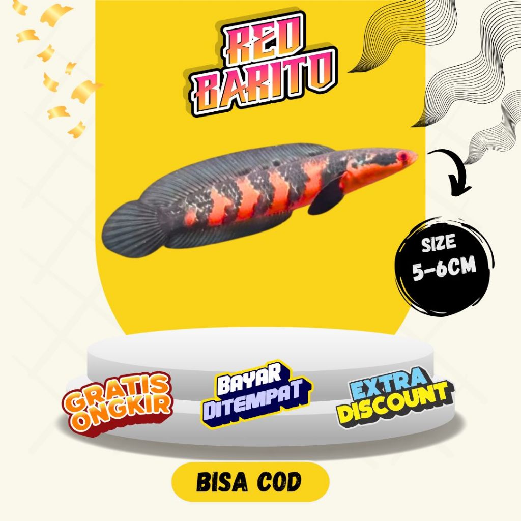 Red Barito 5-6cm Sortir Keras Premium Grade A