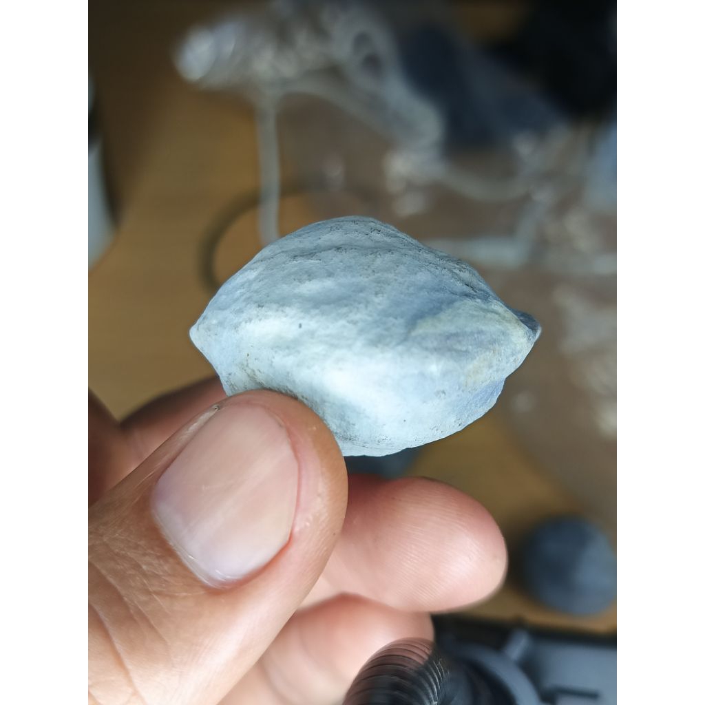 muncang adu Jawa sipangsit ORI 100%