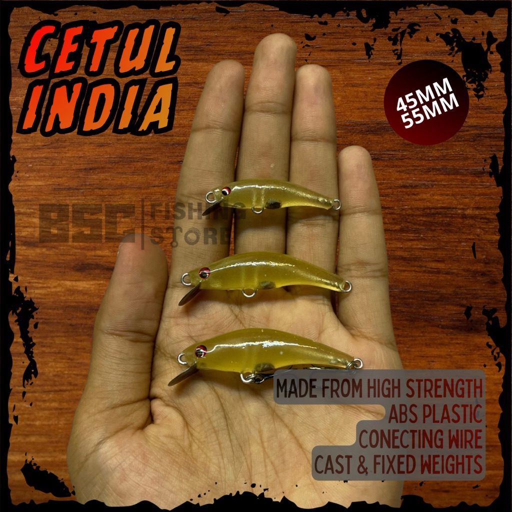 MINNOW CETUL INDIA umpan casting hampala killer