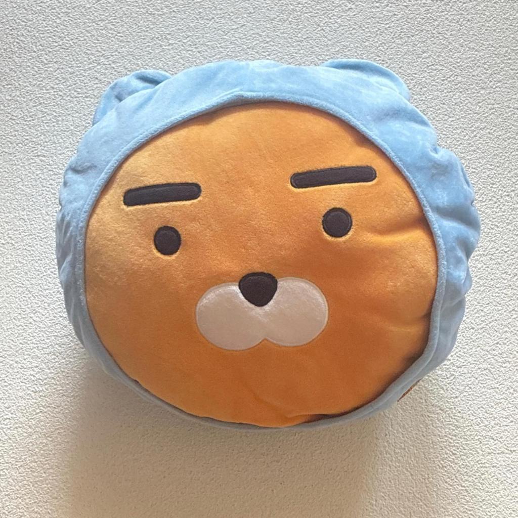 kakao friends ryan pillow