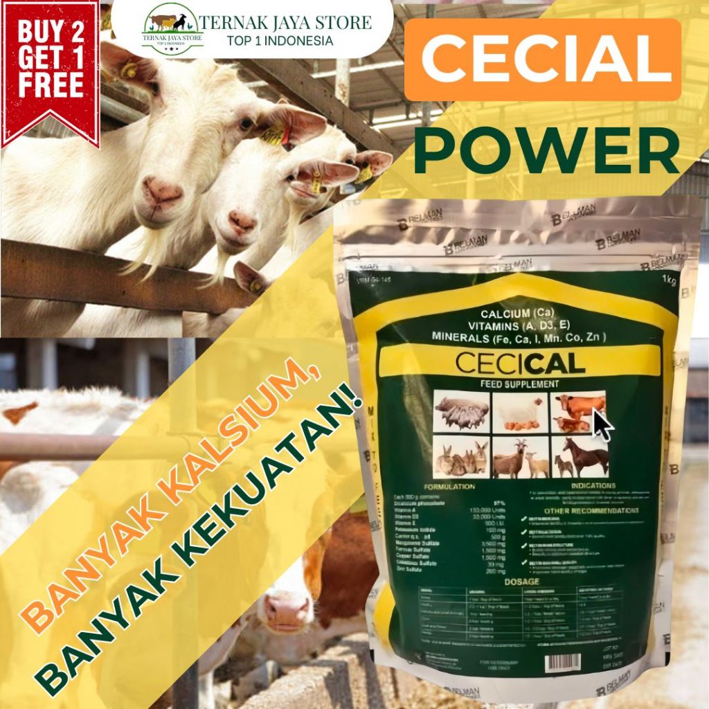 Cecical 1kg – Suplemen Kalsium Ayam Petelur & Broiler – Kulit Telur Kuat, Cepat Besar, Anti-Lemes