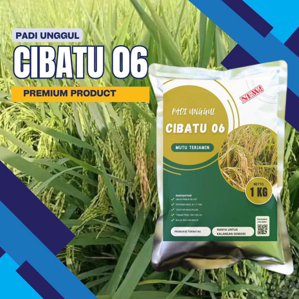 benih padi CIBATU 06