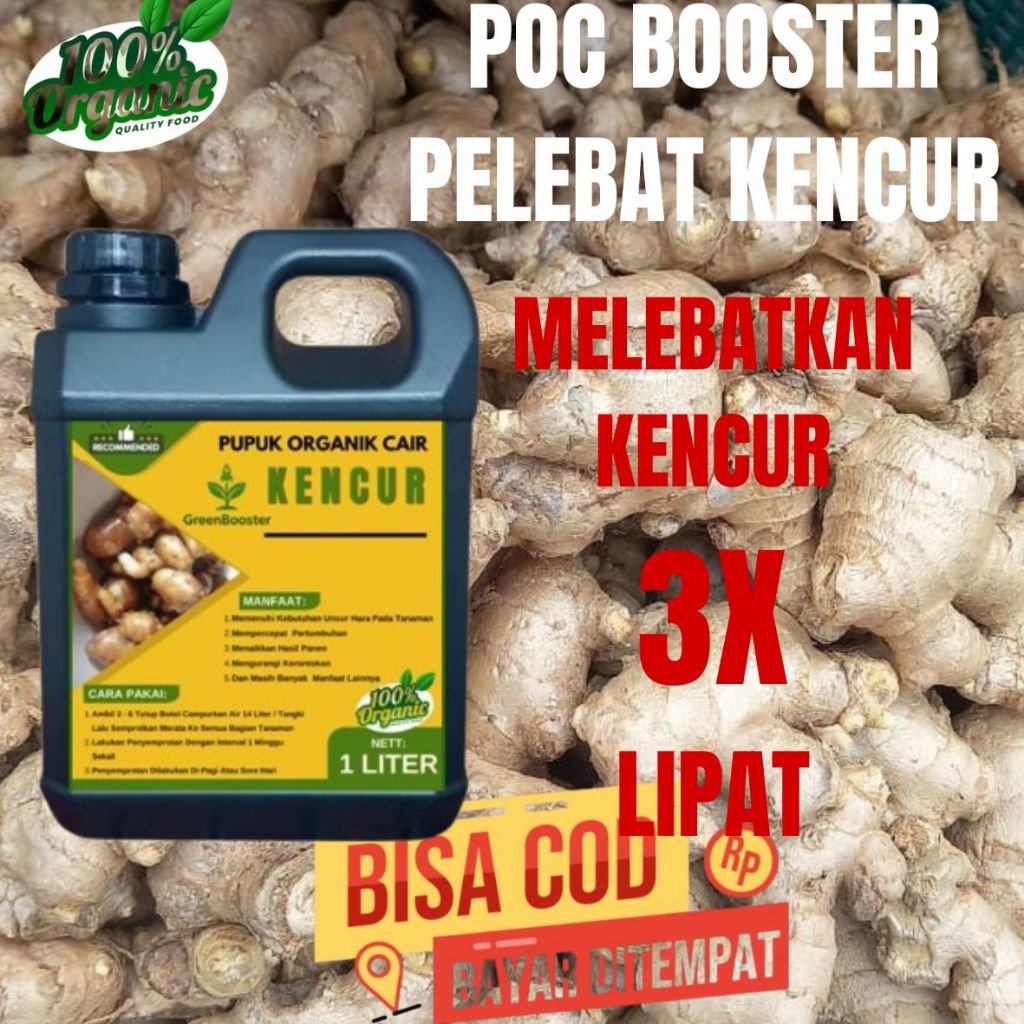GreenBooster Pupuk Kencur Penyubur Pelebat Rimpang Kencur Booster Cepat Tumbuh Besar Dan Subur Organ