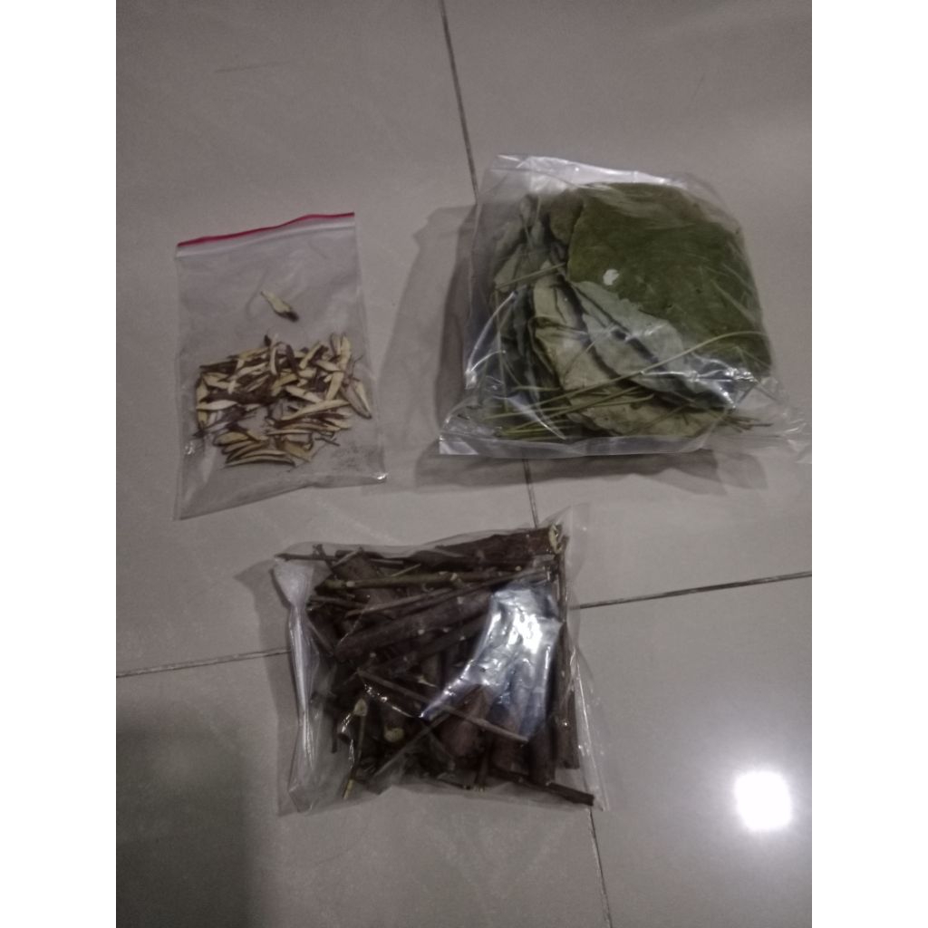 daun pat kua kering + akar + batang / paket rendaman arak gosok / pak kua / tanaman herbal