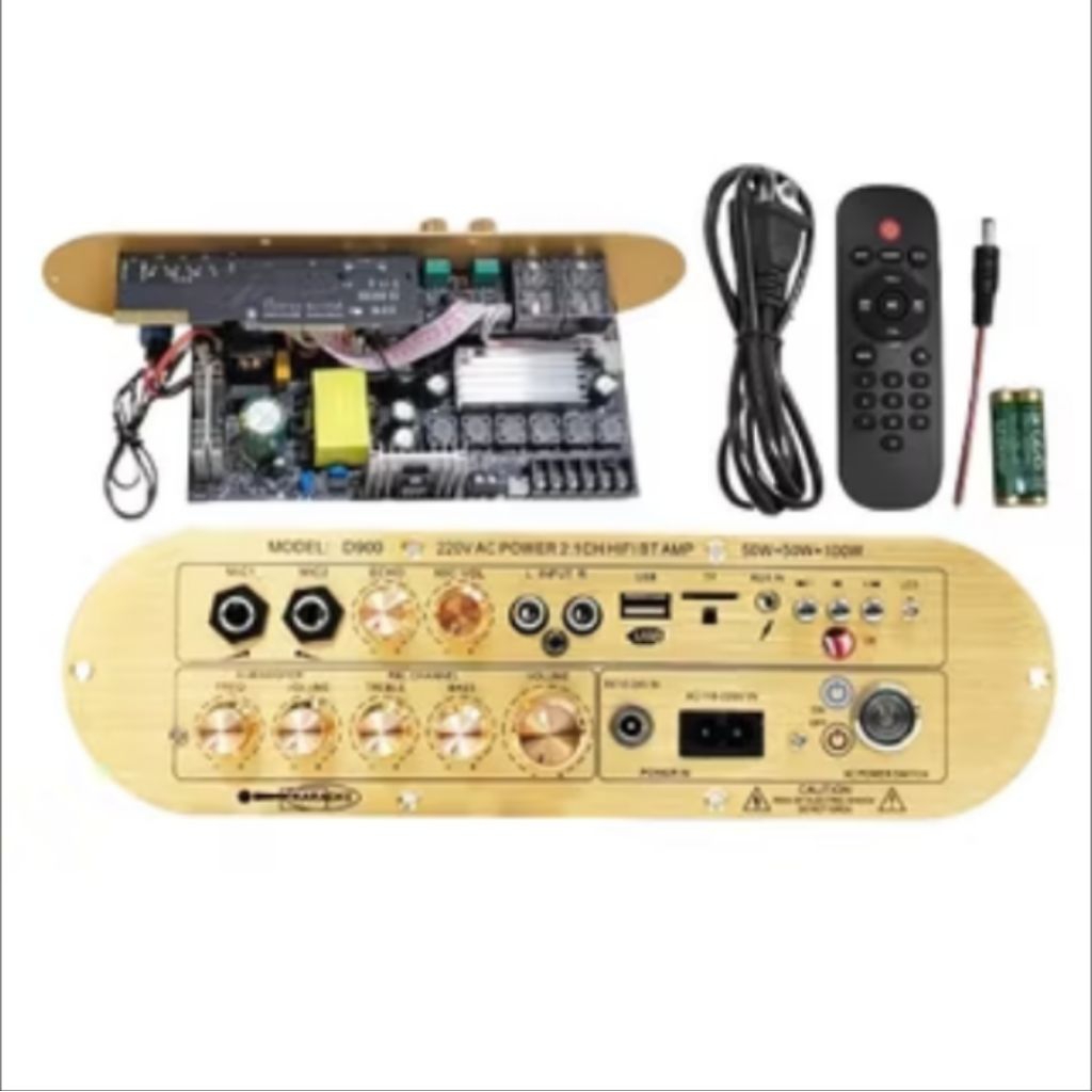 Amplifier Board D900 200Watt